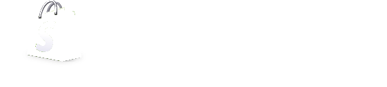 Shopify partner